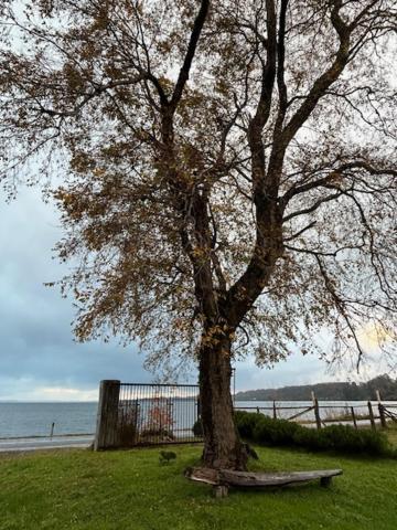 Casa de férias Puyehue Mantilhue